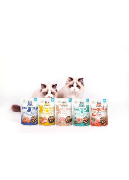 Лакомство для кошек Brit Raw Treat Sensitive Freeze-dried с индейкой, 40 г Brit Care (349823516)