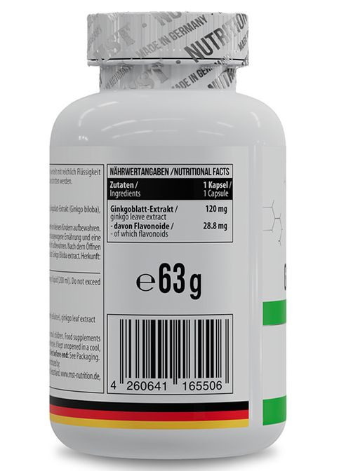 Ginkgo Biloba 120 Caps MST Nutrition (331611079)