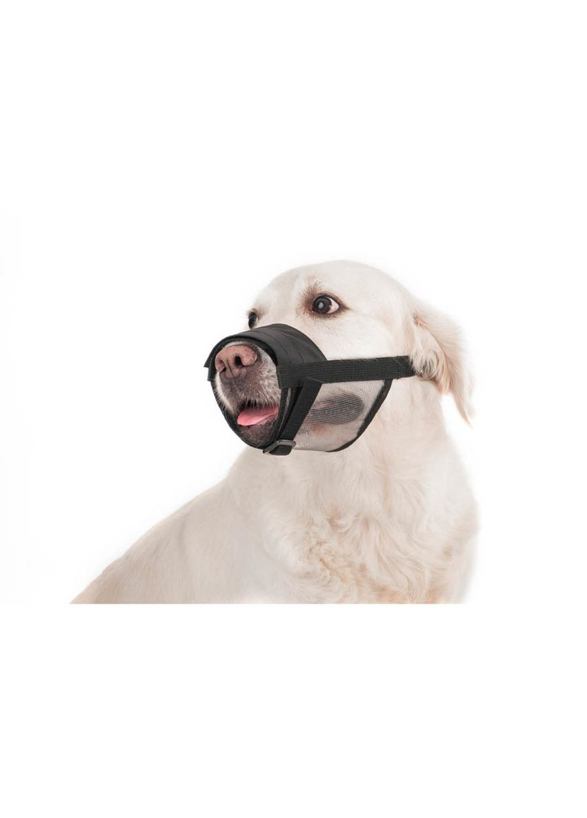 Нашийник Collar (333940697)