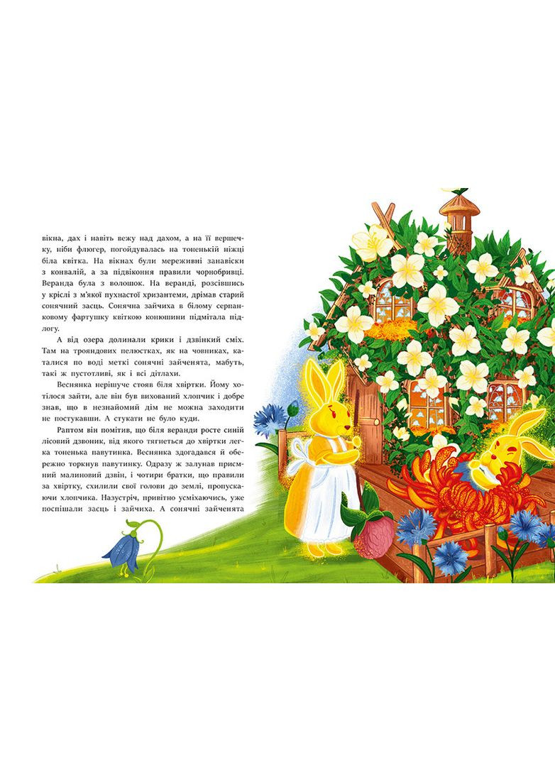 В Стране Солнечных Зайчиков No Brand (368829590)