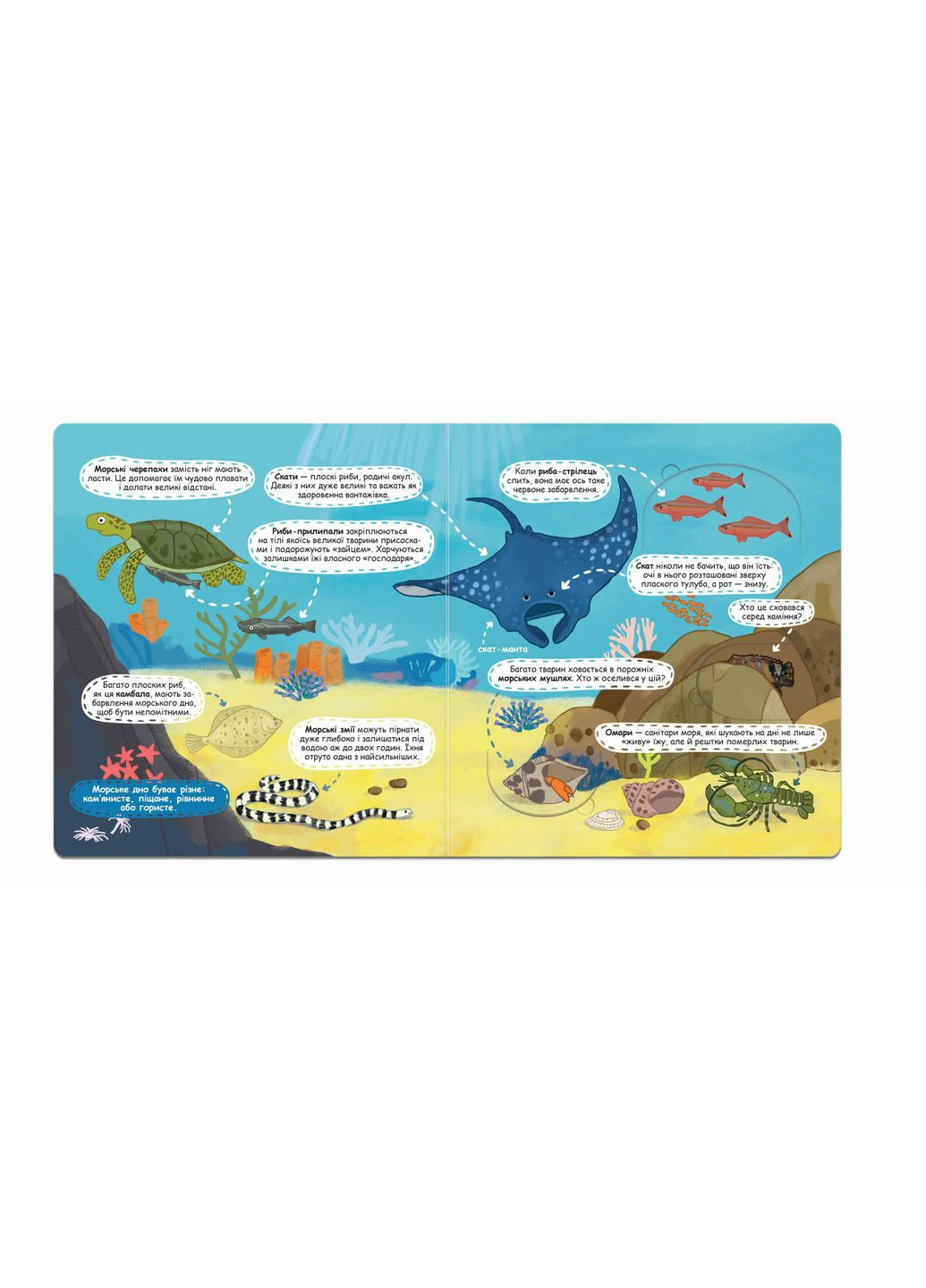 Хто живе у морі та океані Видавничий дім "Школа" (370113634)