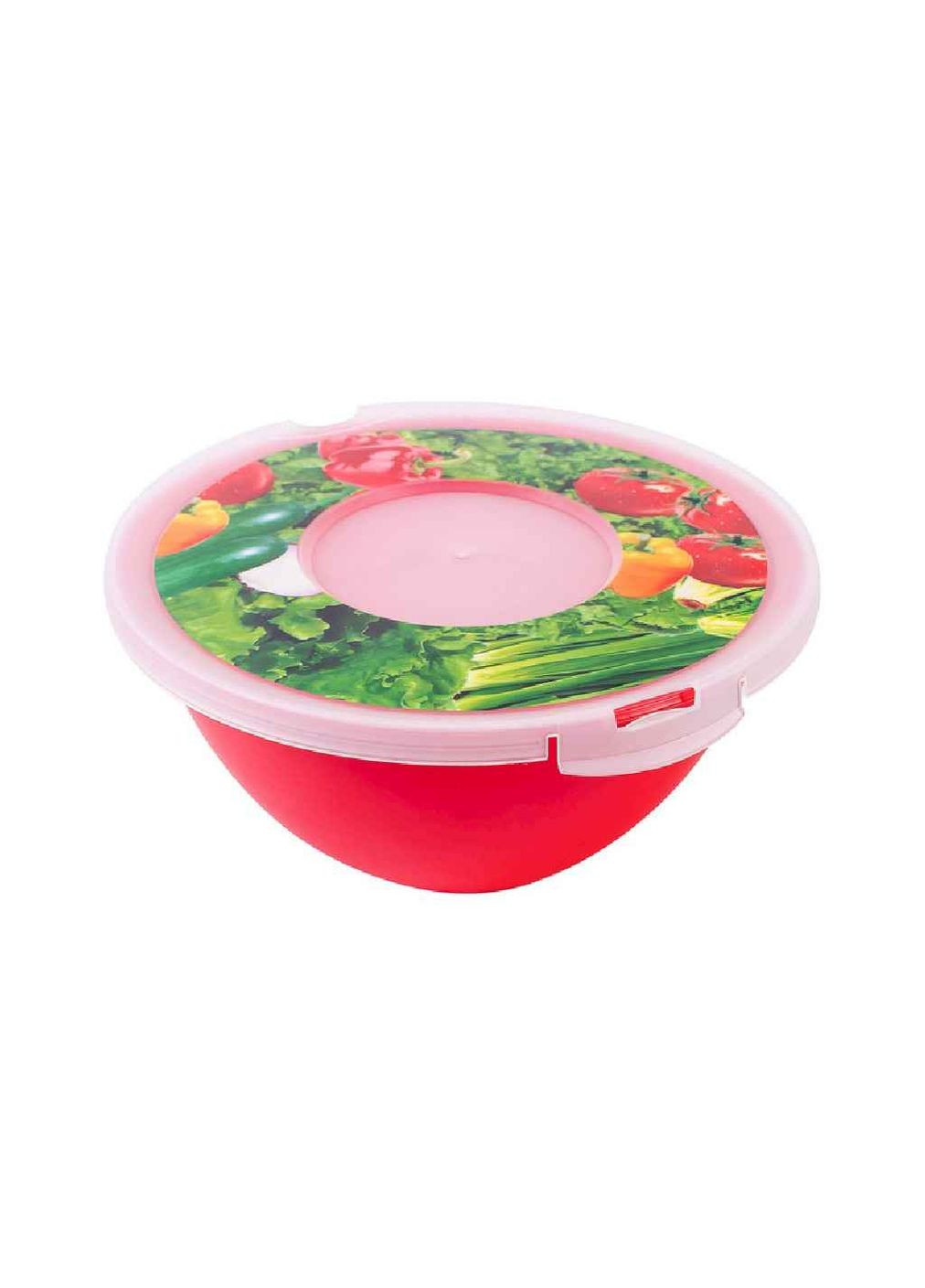 Миска 2л «Луиза» с крышкой с декором 219х219х100мм ПБ-102 Полімербит 17 ЛТД (363327050)