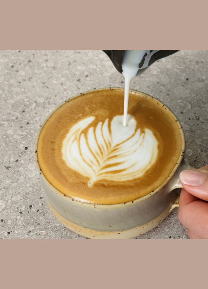 Кофеварка рожковая, 1л, молотая, ручной капуч, LEDдисплей, подогрев чашек, черный Electrolux (314778665)