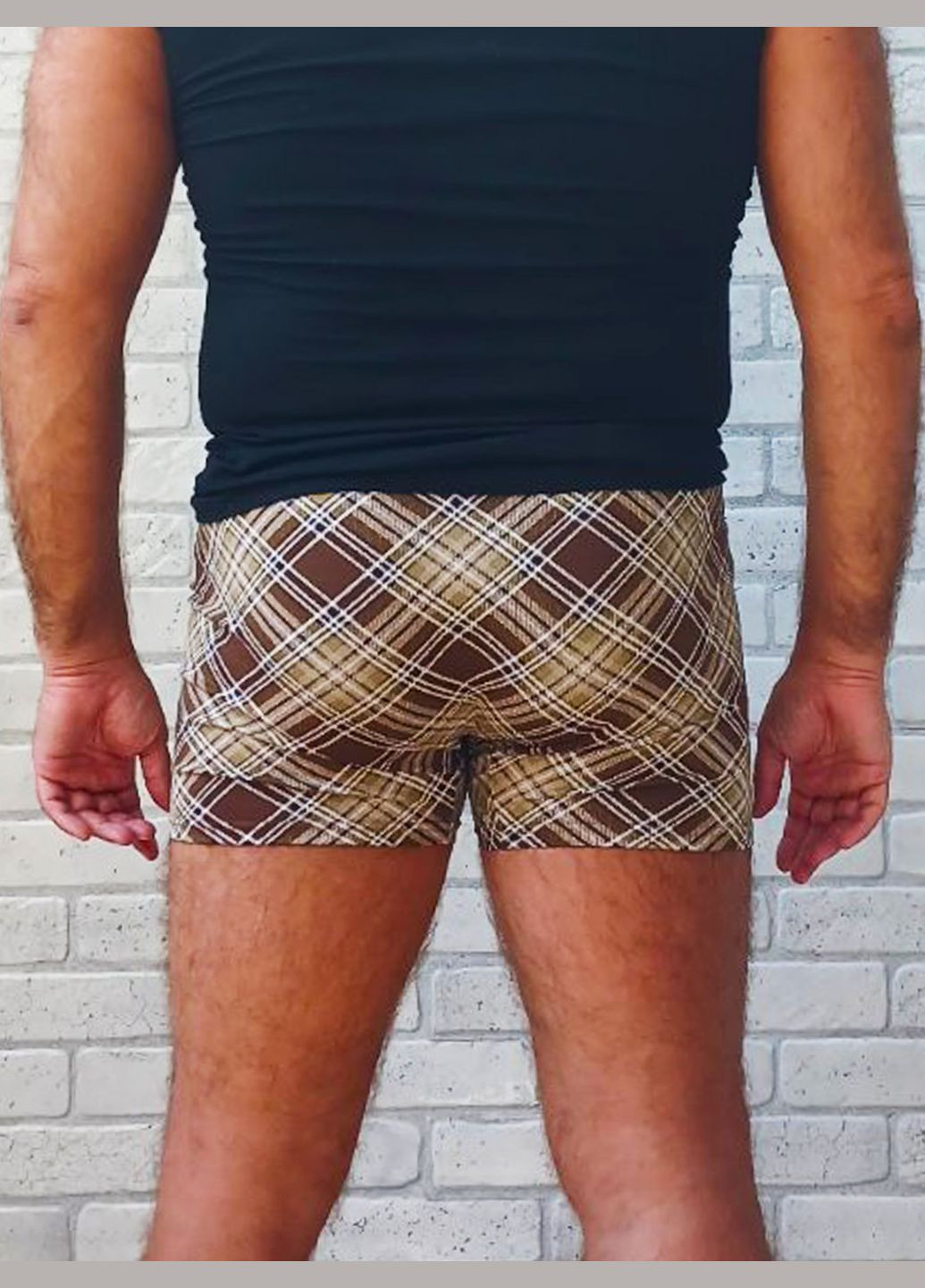 Боксери чоловічі великого розміру, короткі в клітину кавові, бамбук No Brand (319616419)