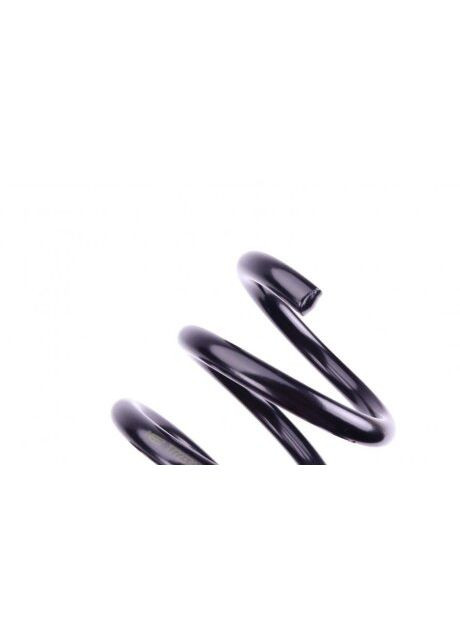 Пружина (задняя) BMW 5 (E39) 520d/i/523i/525d/i/td/tds/528i/530d/i/535i 95-03 (седан)(без М-те 4208442 (opt-om) Lesjofors (367594513)