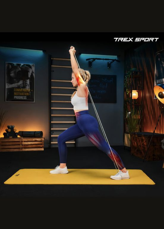 Набор резинок для фитнеса TX-003PB 3в1 2-30кг TREX Sport (341328023)