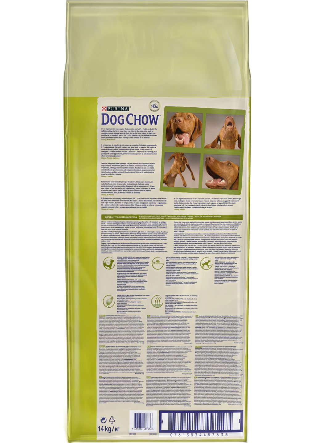 Сухий корм для дорослих собак Adult з ягням 14 кг (7613034487636) Dog Chow (332167940)