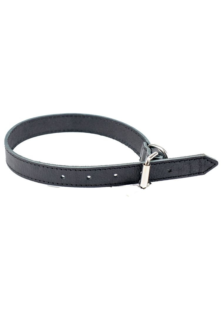 Нашийник з натуральної пасової шкіри для собак 25мм 430-520мм, чорний (4823101317053) AGILITY (322124756)