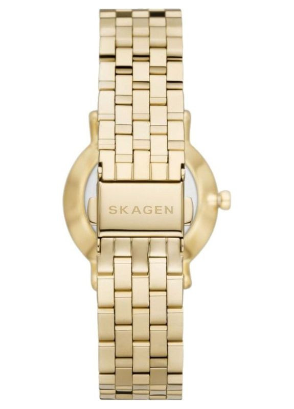 Женские наручные часы Skagen SKW3102 (322689822)