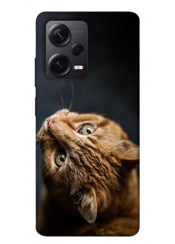 Чохол із принтом для Xiaomi Poco X5 Pro 5G / на ксьомі, сяомі, ксіомі поко х5 про Рудий кіт No Brand (339676131)