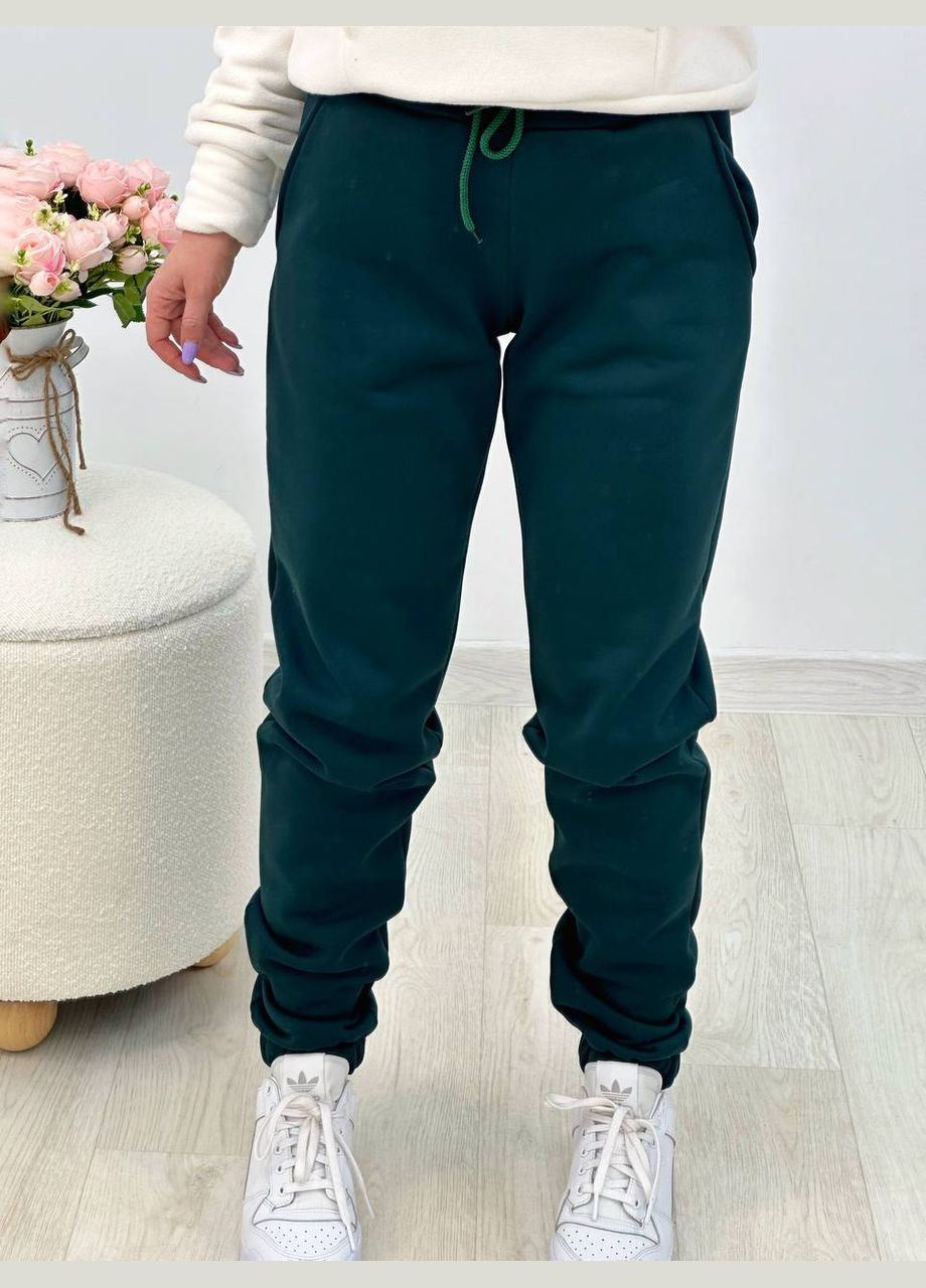 Теплі штани Garna (305270662)