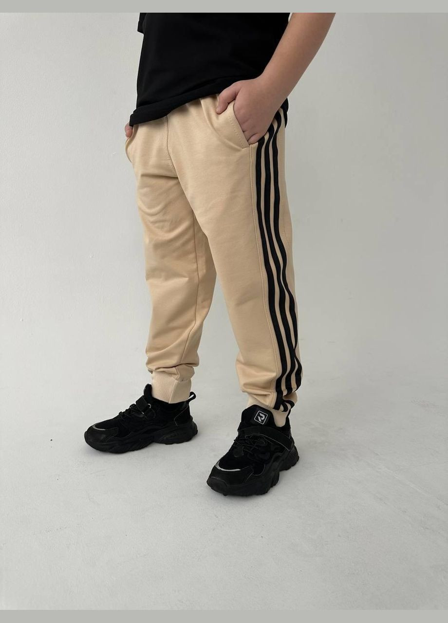 Дитячі спортивні штани на манжеті з лампасами для хлопчика ✨ No Brand (317779462)