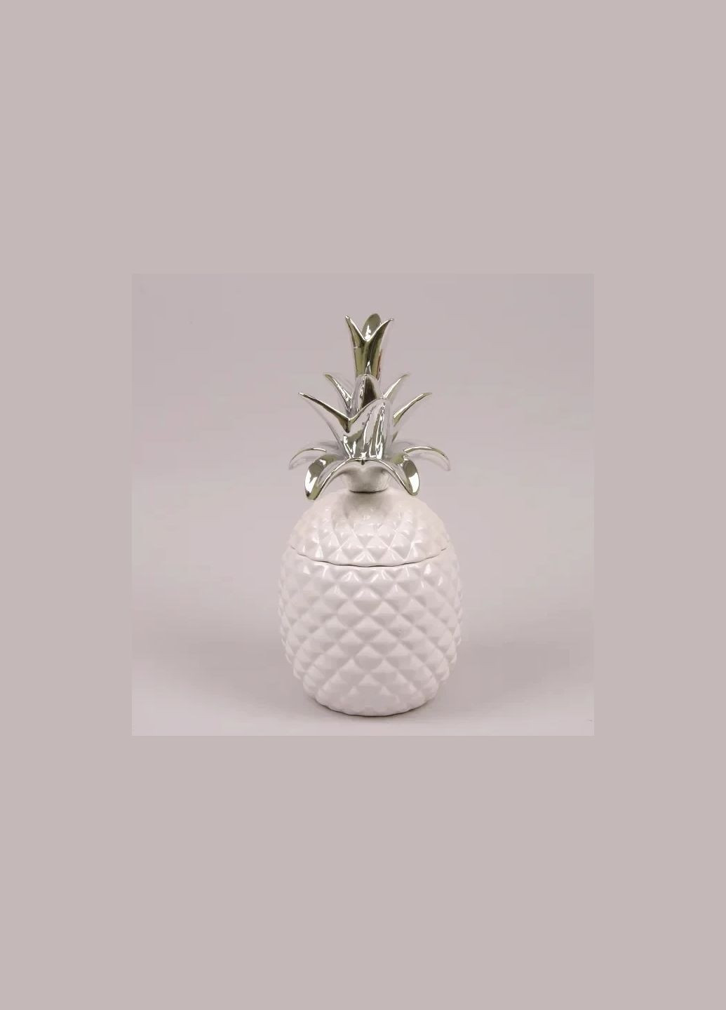 Емкость керамическая Ананас 26291 Flora (311203192)