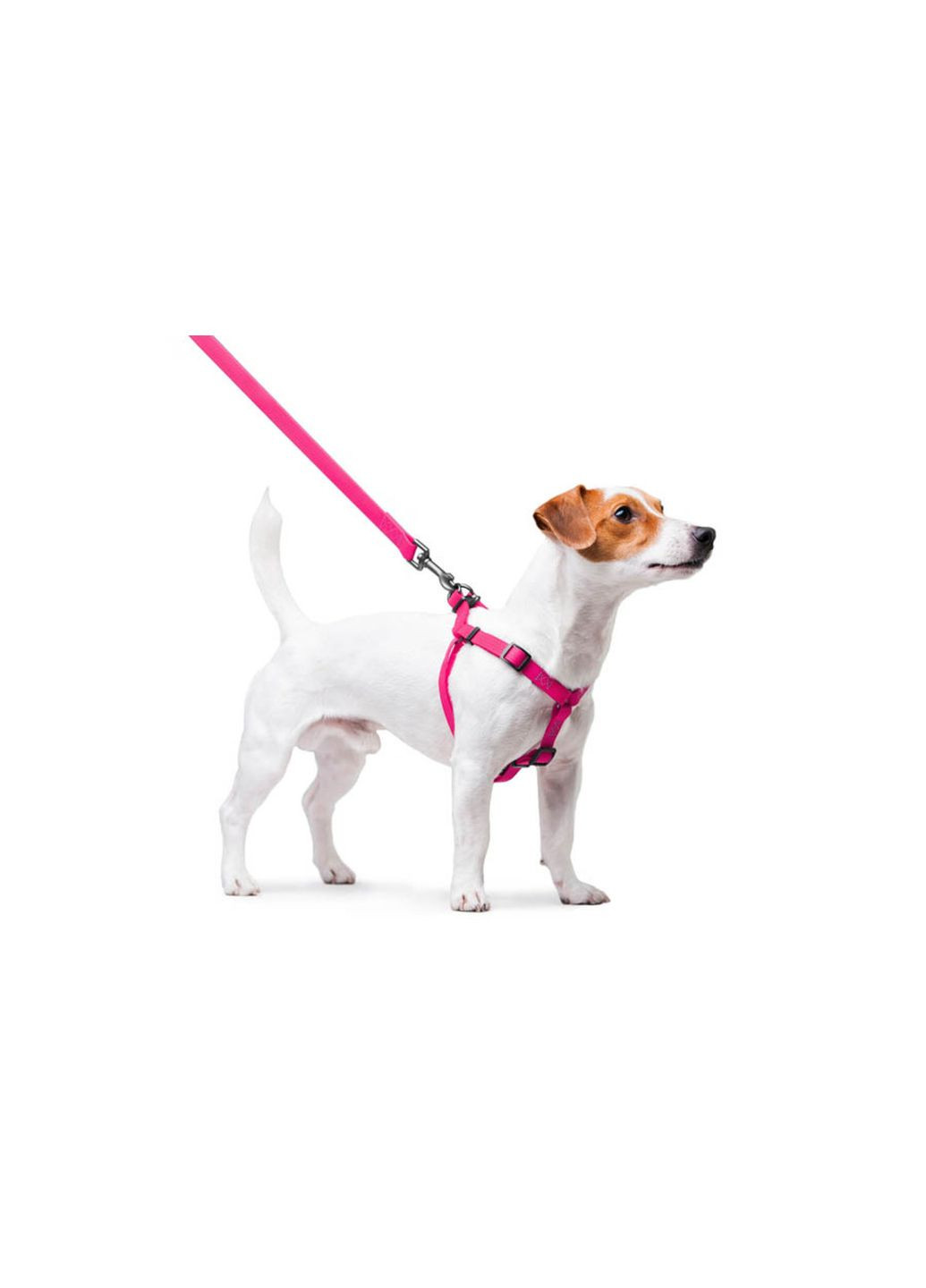 Шлея для собак водостійка Waterproof Металева пряжка-фастекс, Ш 15 мм, Д 40-55 см Рожевий WAUDOG (321996834)