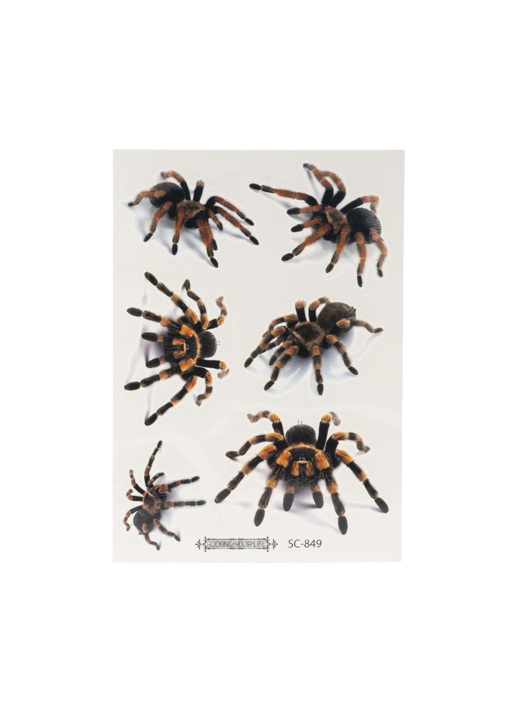Набір тимчасових тату «Павуки» колір різнокольоровий CB-00285399 No Brand (361855643)