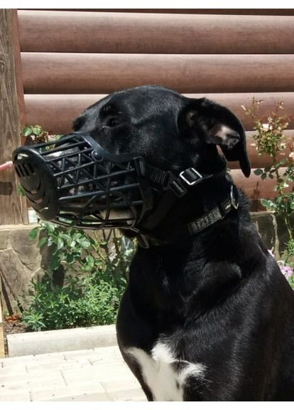 Намордник для собак пластиковый No Brand (362136268)