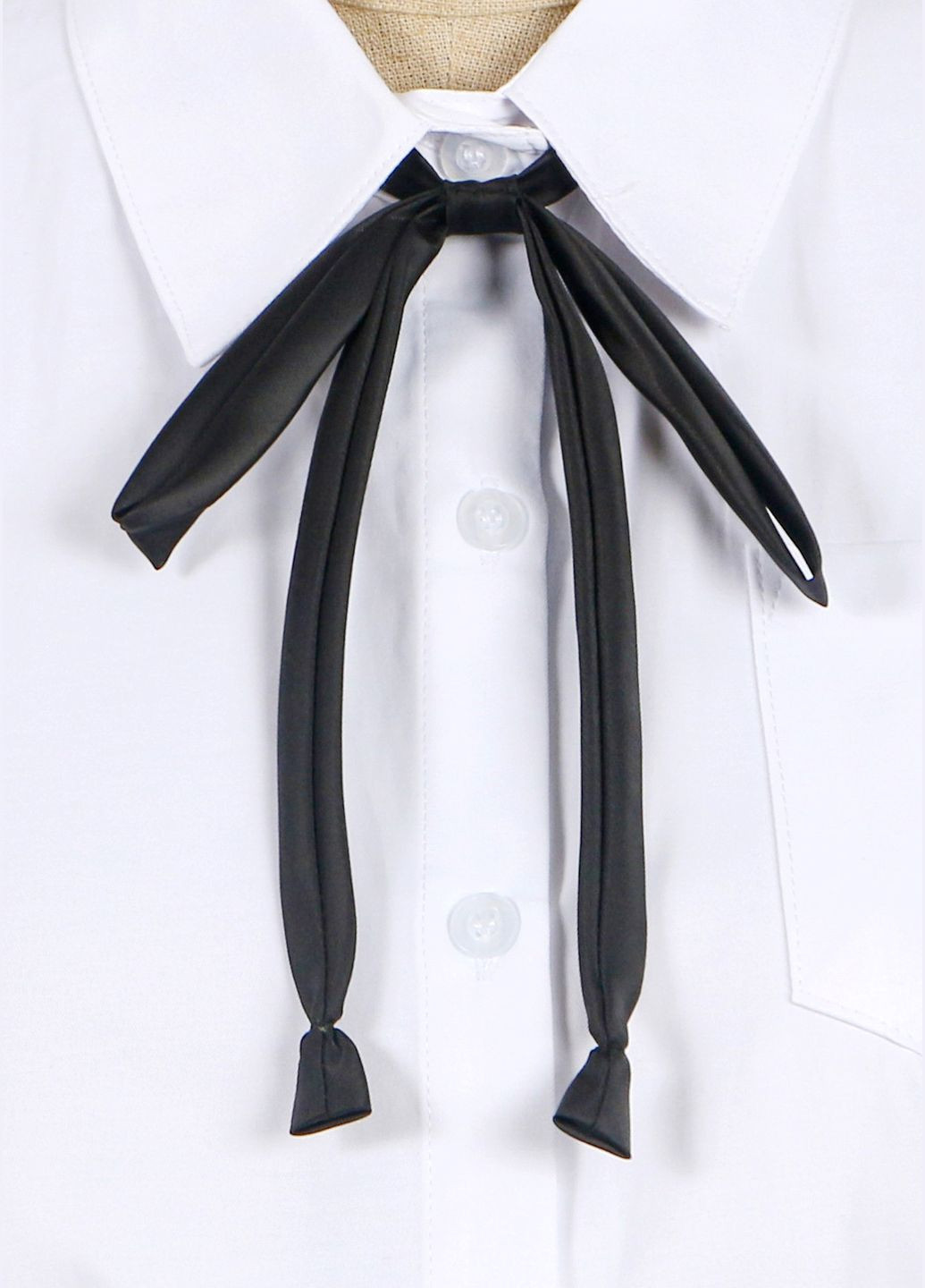 Краватка-шнурок No Brand (334163913)