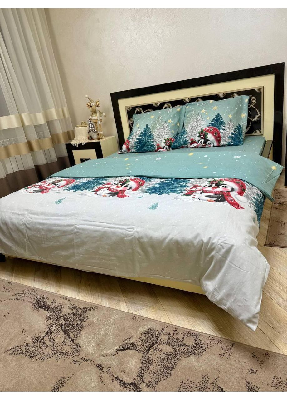 Постельное белье новогоднее Двуспальное Пакистанская байка 180 x 220 см 4690 Зеленая 70 х 70 см No Brand (362202653)