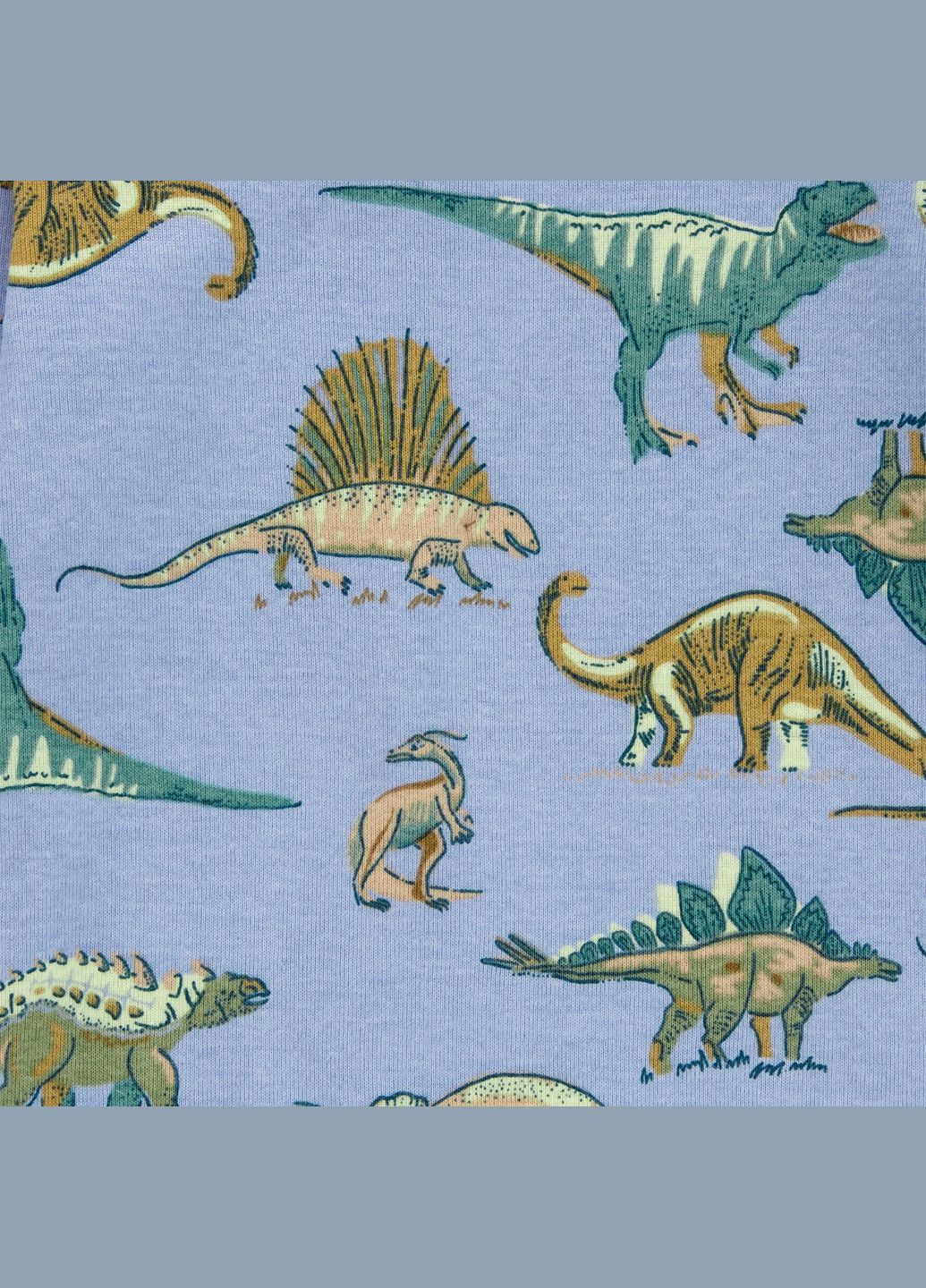 Комбінована комплект піжам 2в1 для хлопчика 76-81 см (1r492510_18m) Carter's