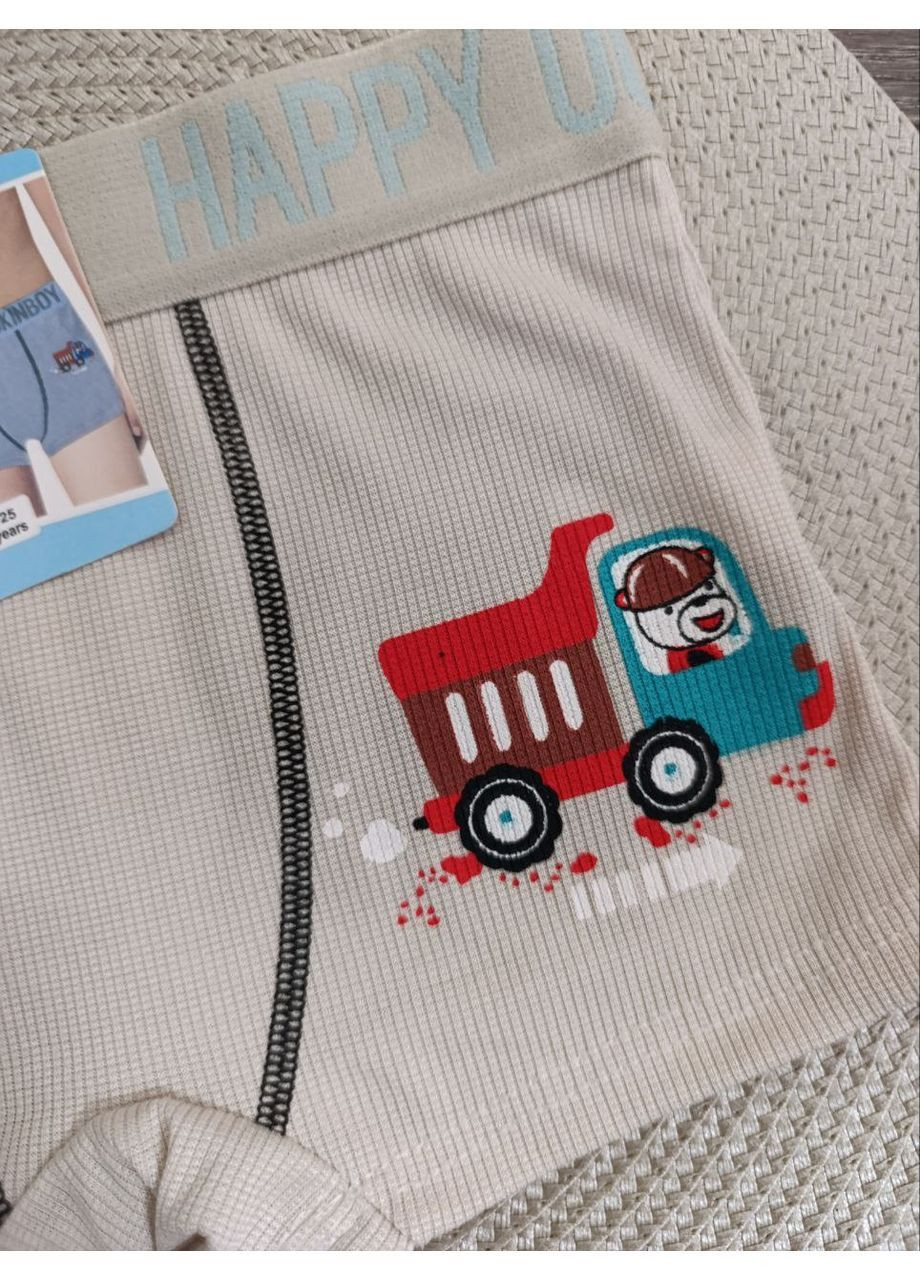 Трусики детские на мальчика, с рисунком, UOKIN (366038788)