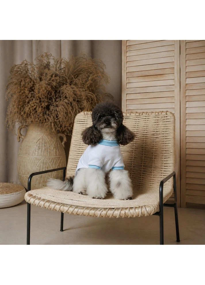 Футболка для собак Polo біла розмір XXS Pet Fashion (395729886)