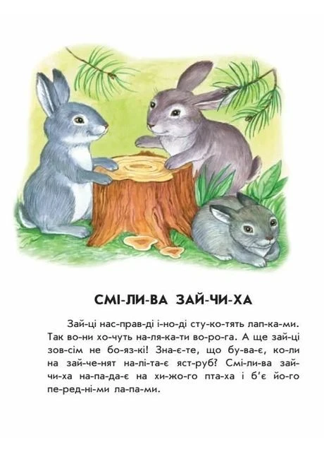 Лісовий концерт. 10 іс-то-рій по скла-дах РАНОК (370074134)