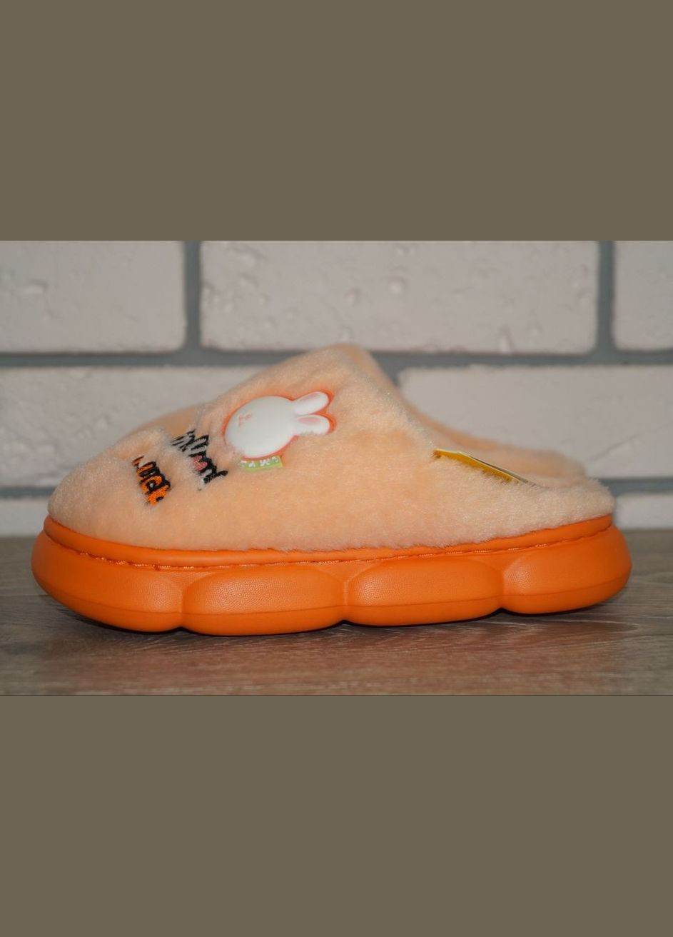 Тапочки для дівчинки хутряні з гарною аплікацією No Brand Cream family (304252334)