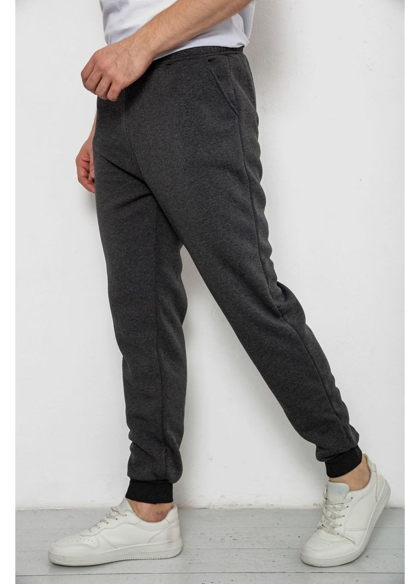 Темно-серые демисезонные брюки Ager