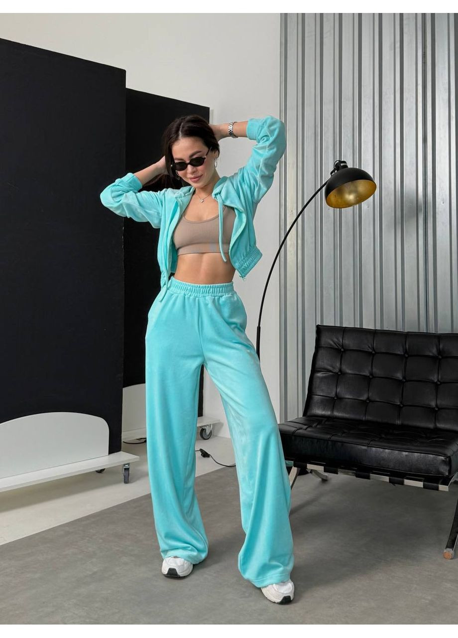 Жіночий спортивний костюм із м’якого велюру Україна (361071514)