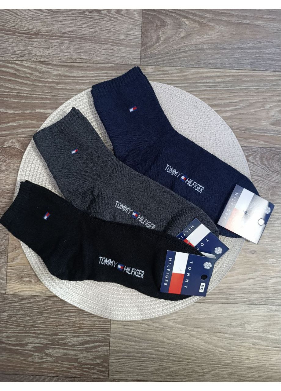 Сірі чоловічі махрові шкарпетки з логотипом, розмір 41-45, туреччина логотипи (360964056)