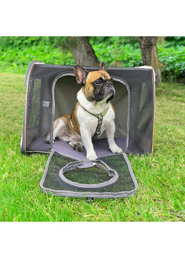 Автокрісло COLLAR 60*40*45 No Brand (363198533)