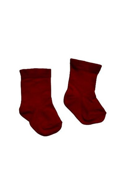 Шкарпетки Primark (289456233)