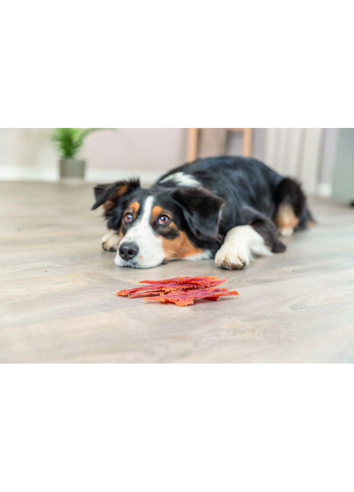 Ласощі Premio Ducky Stripes для собак шматочки з качки 100 г Trixie (355252623)