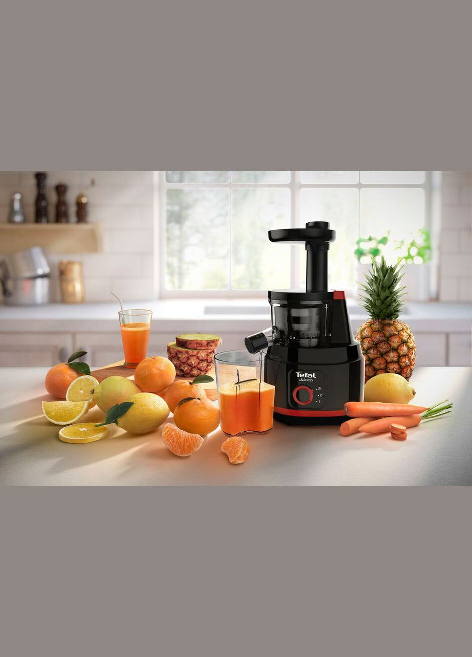 ZC150838 Tefal (315719008)