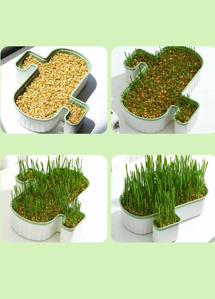 Лоток для гідропонного вирощування мікрозелені та розсади кактус помаранчевий (NR0139_2) No Brand (303898417)