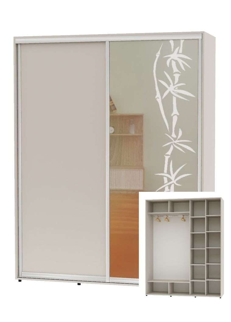 Шафа-купе дводверна 200*60*250 Кашемір ДСП/Дзеркало з піскострумним малюнком Алекса (360432525)