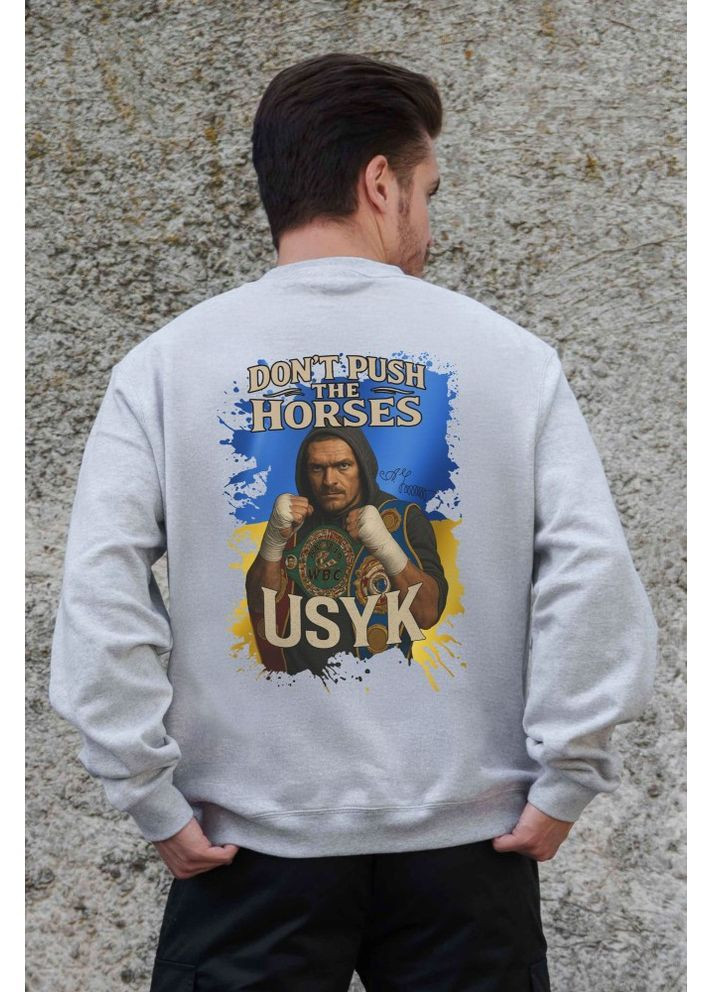 Серый утепленный оверсайз свитшот на флисе с принтом dont push the horse gray Without (362357824)