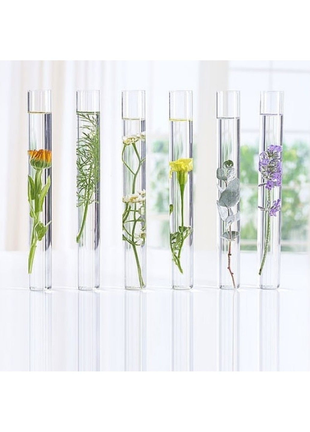 Біо-засіб для видалення макіяжу з очей Алое 125 мл Logona (298055846)