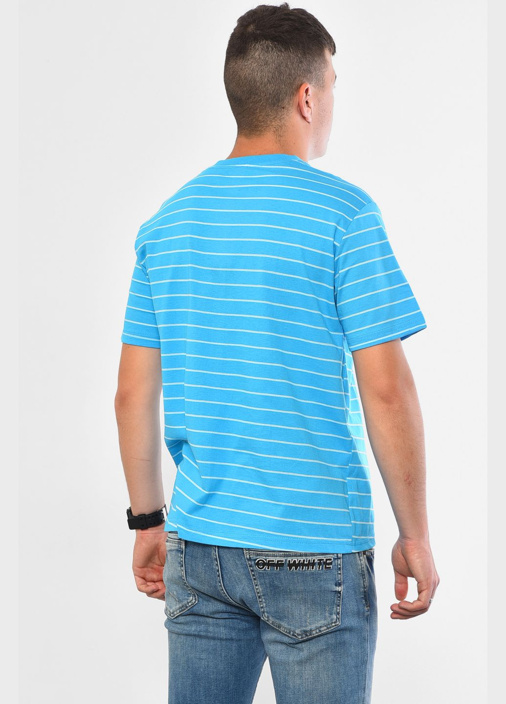 Голубая футболка мужская в полоску голубого цвета Let's Shop