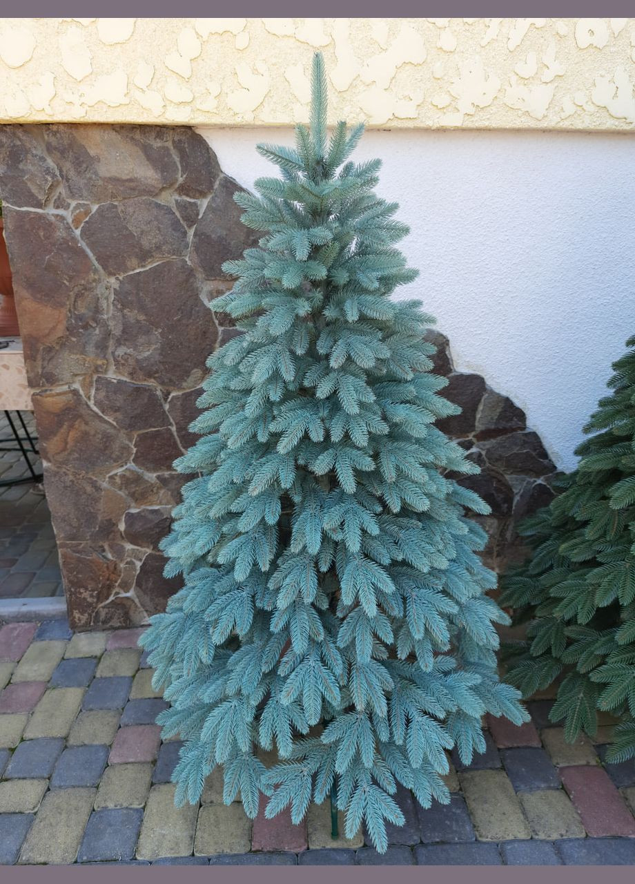 Новогодняя елка "Швейцарская" - 150 см No Brand (307827488)