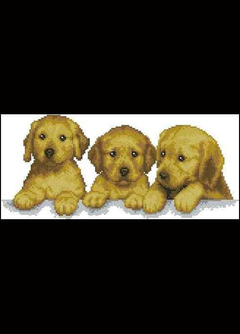 Набор для вышивки крестиком. Размер: 26*12 см Золотые щенки Лоскуток (315359395)