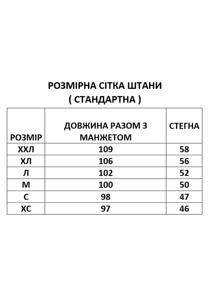 Сет зимний мужской спортивный худые, брюки, бананка, кепка. No Brand (363133107)