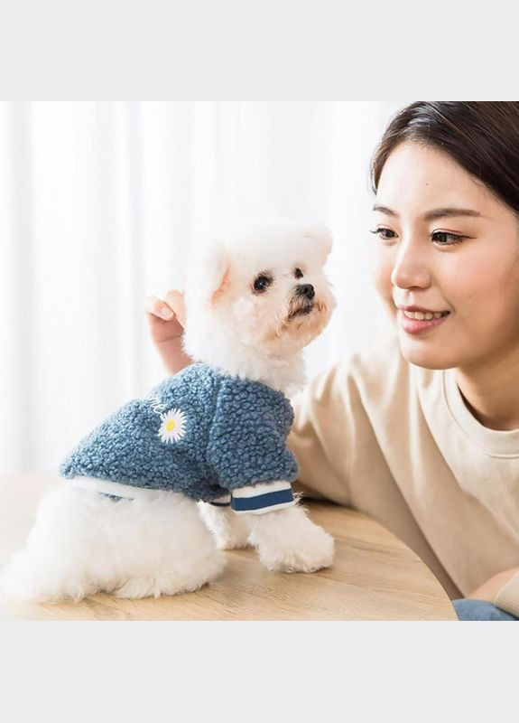 Свитер для собак и кошек Тедди Lesko 2008SXSL3802 Awesome Blue S утепленный 1шт Hippie dog (356500348)