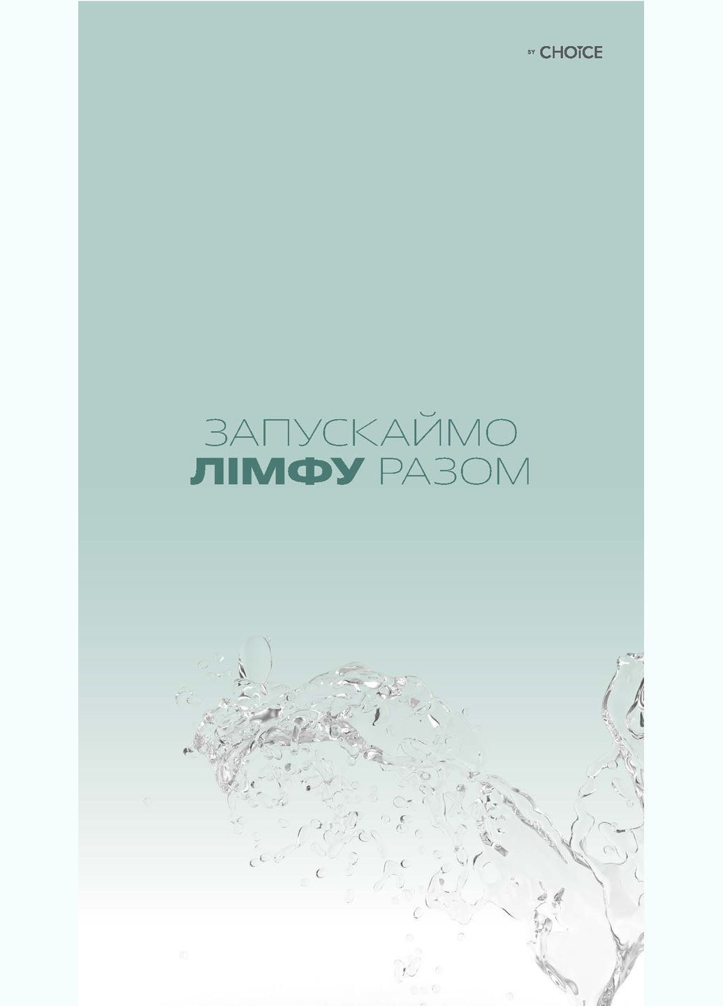 Лимфодренаж и детоксикация, быстрое похудение жиросжигания 90 капсул CHOICE LYM DRAIN & DETOX (305030762)