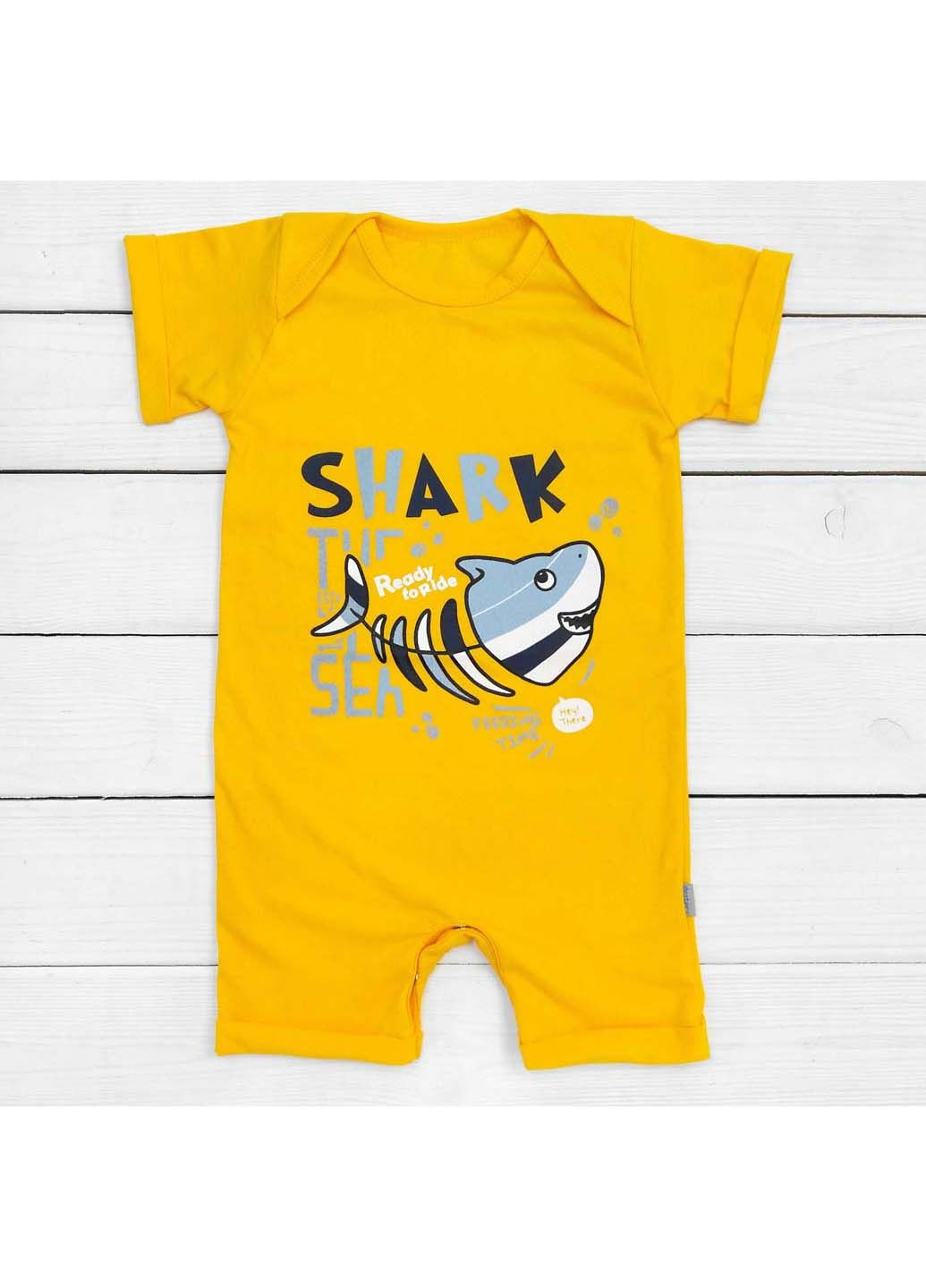 Пісочник dexter's (297224184)