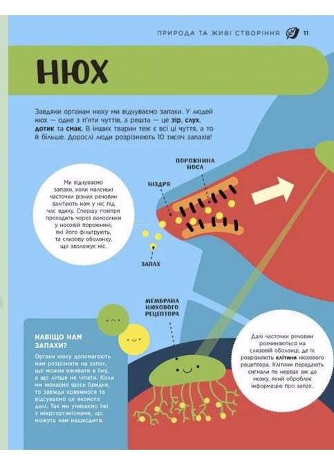 Енциклопедія STEM для дітей: 100 понять майбутнього генія РАНОК (370064159)