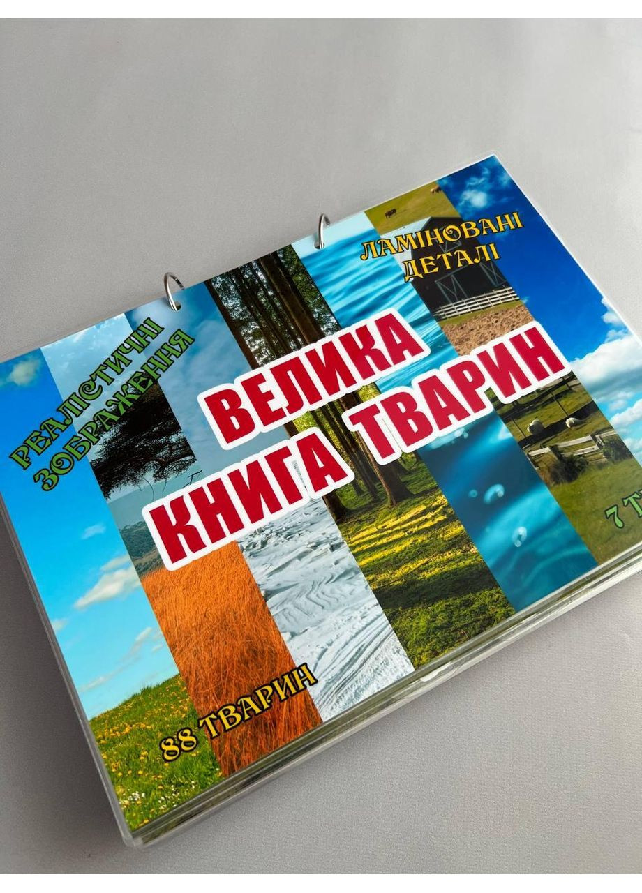 Велика розвиваюча книга на липучках А4 – “Тварини”, 7 тематичних сторінок. No Brand (370952820)