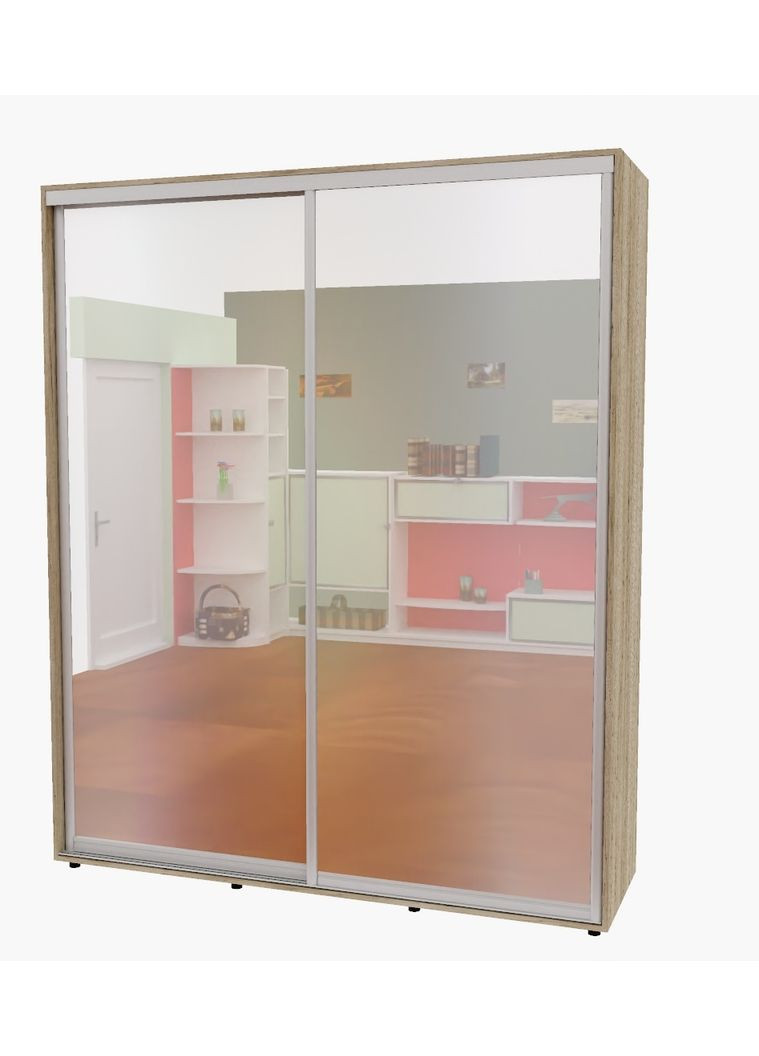 Шафа-купе дводверна 200*45*230 см Дуб крафт сірий 2 двері Дзеркало Алекса (360438990)