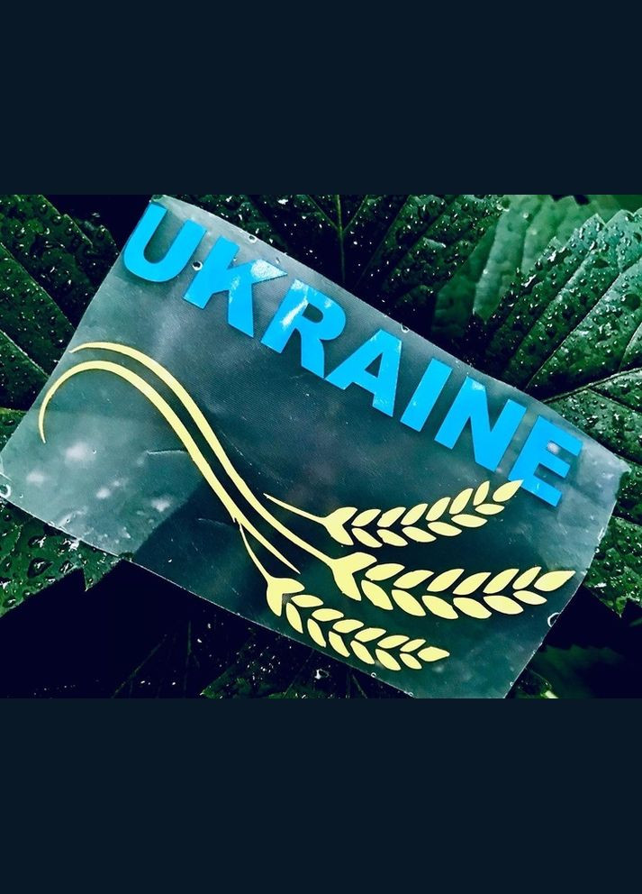 Патріотичні наліпки синьо-жовті Ukraine Україна з Колосками Пшениці на авто, скло, шафу, ноутбук і таке інше, 15х9 см No Brand (327829978)