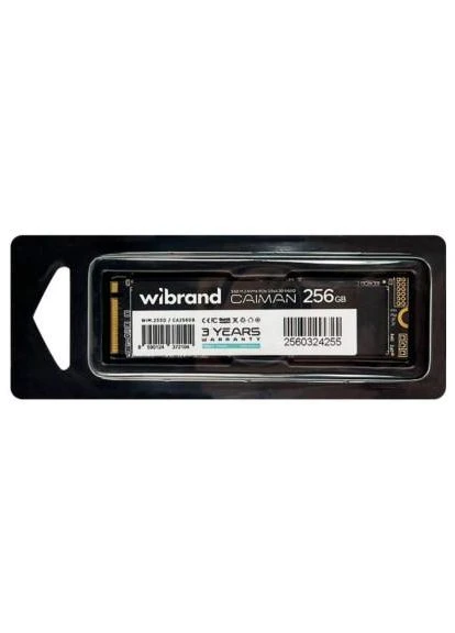 Накопитель SSD M.2 2280 256GB Caiman (WIM.2SSD/CA256GB) Wibrand (391734597)
